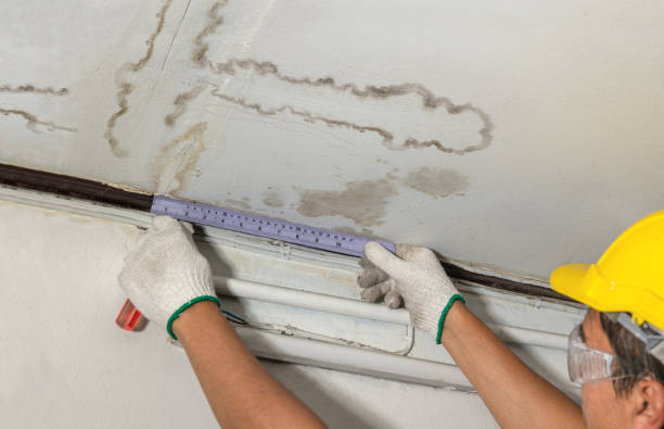 Reliable Sewage Cleanup contractor in Virginia, IL by Water Damage Irwin